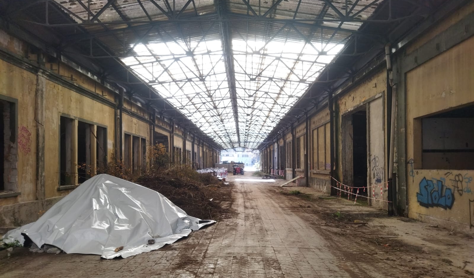 immagine di galleria