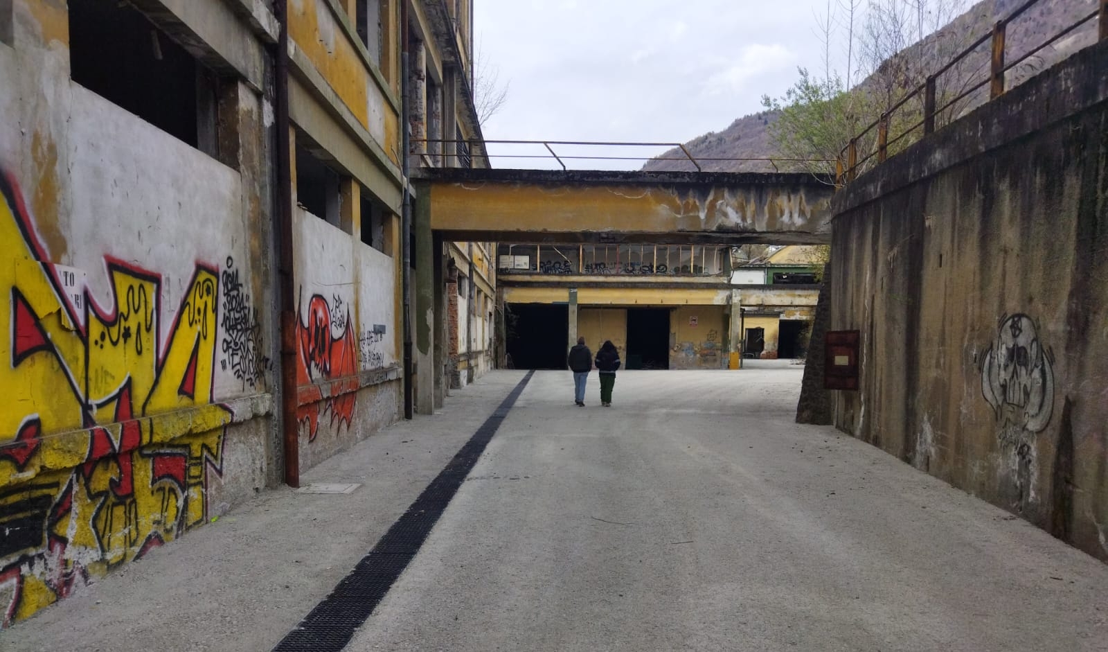 immagine di galleria